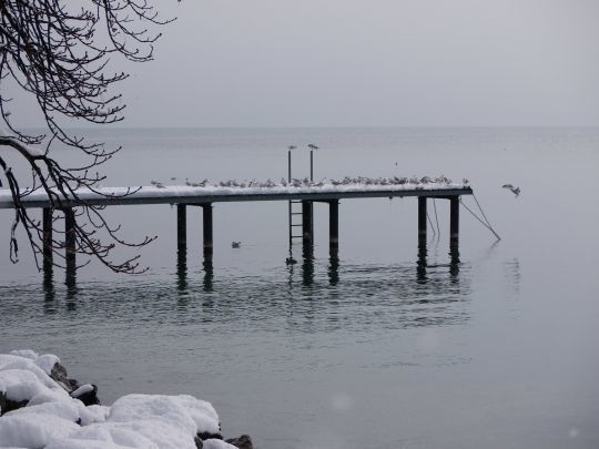 Saint-Prex, sur les rives du lac Léman, sous la neige