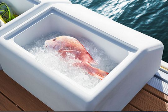 Wasserlandschaft, ein neuer Ort zum Leben, auf dem Wasser