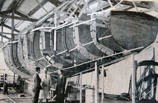 Stromvogel Calme Blanc