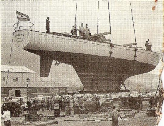 Stromvogel Calme Blanc