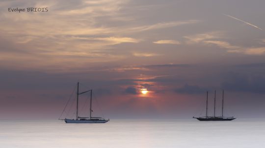 Evelyne Briois Photographe