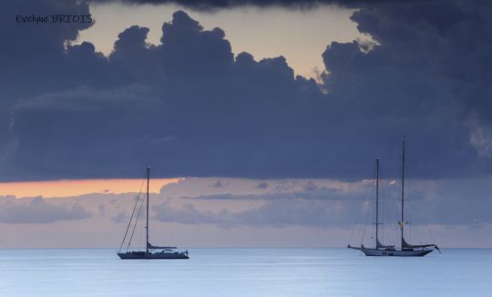 Evelyne Briois Photographe
