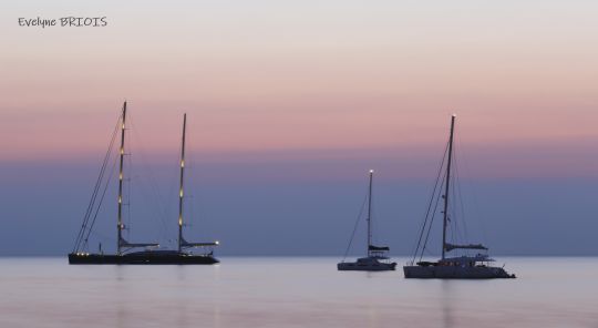 Evelyne Briois Photographe