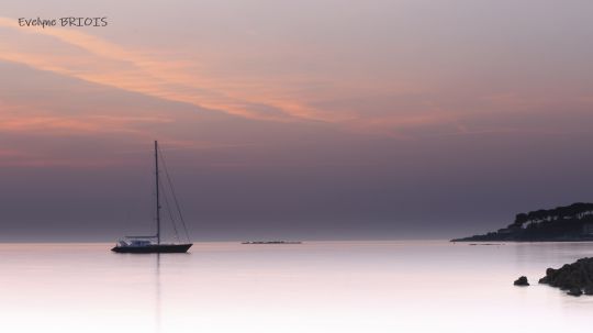Evelyne Briois Photographe