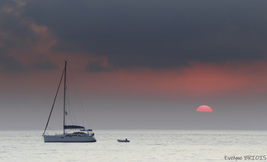 Evelyne Briois Photographe