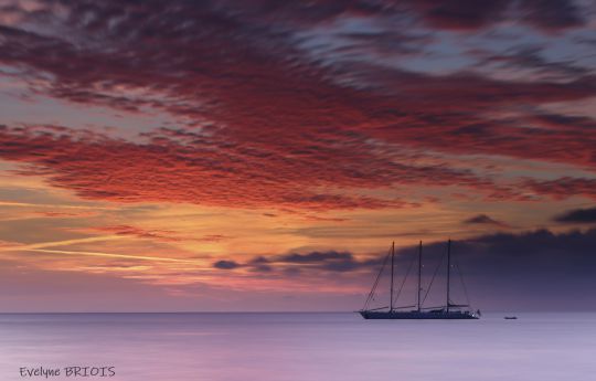 Evelyne Briois Photographe