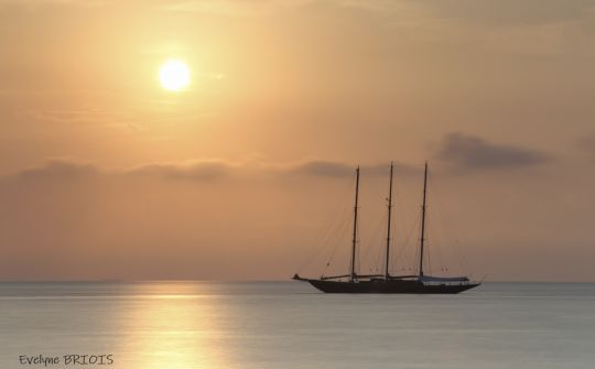 Evelyne Briois Photographe