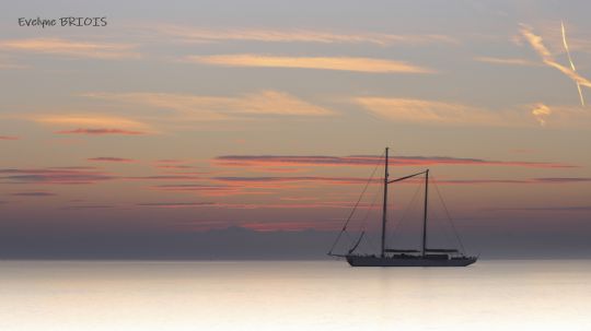 Evelyne Briois Photographe