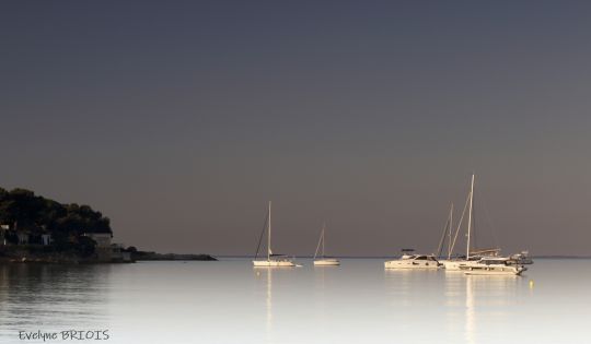 Evelyne Briois Photographe