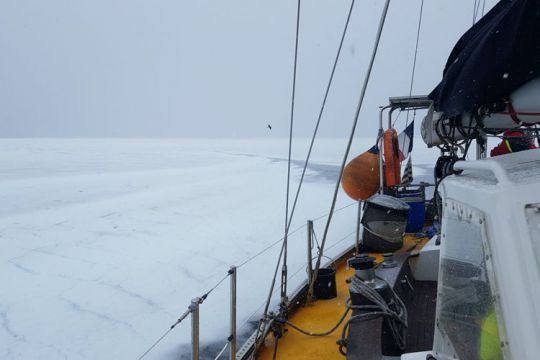 Découverte de l'Antarctique en voilier