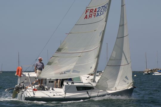 Samba 24