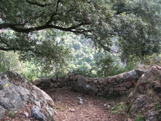 Chemin mulletier