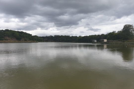 La rance, dans sa partie fluviale, assèche sur fond de vase. (Photo : Olivier Tourchon).