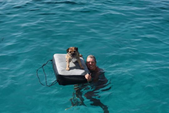 Votre chien pourra plus facilement remonter à bord