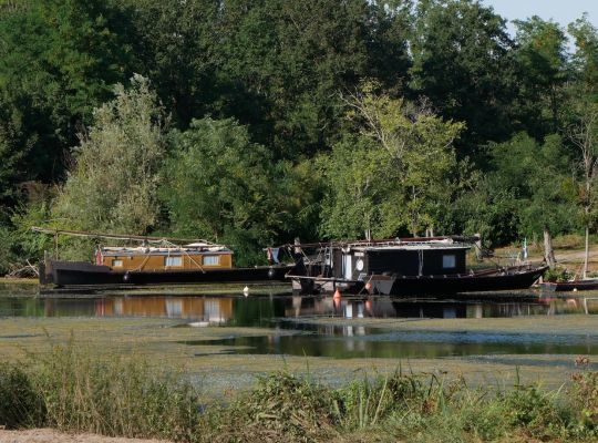 Les toues à fond plat sont les seules à fréquenter la Vieille Loire