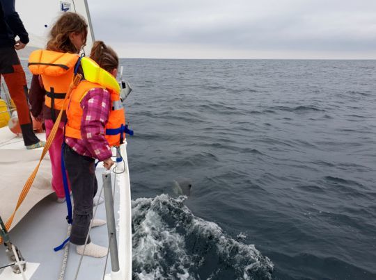 Les enfants admirent les dauphins à l'étrave