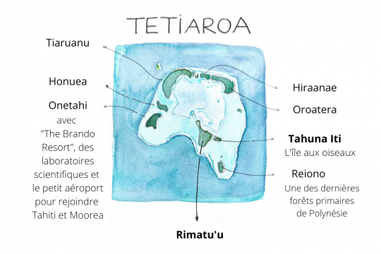  L'atoll de Tetiaroa et les motus principaux