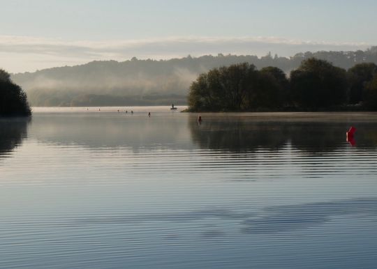 Un chenal semé d'oiseaux d'eau