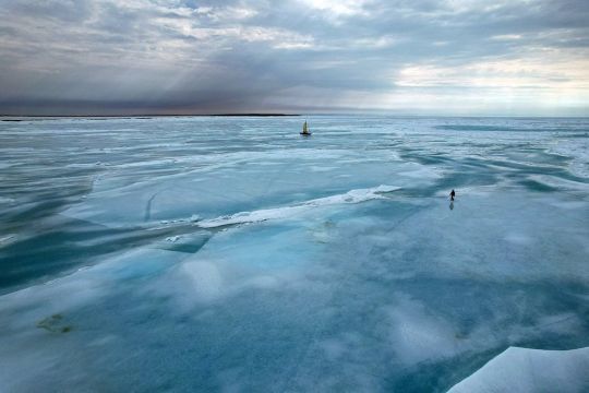 Expédition dans les glaces Le catamaran dans les glaces © Sébastien Roubinet