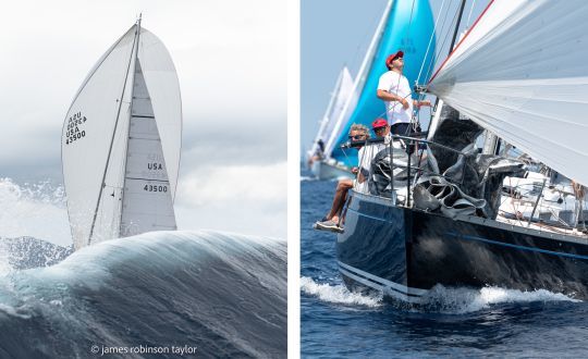 Des images à couper le souffle, d'un Swan caché par a vague