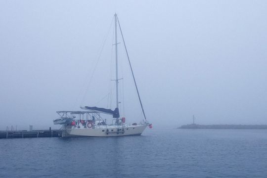 Arthur dans la brume de St Pierre et Miquelon