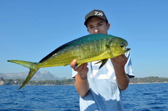 Plus besoin de déclarer ses prises.