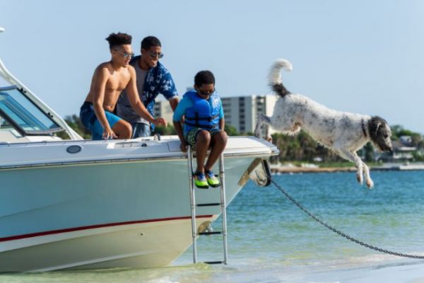 Mit Ihrem Boot knnen Sie Geld verdienen und anderen einen tollen Urlaub ermglichen.
