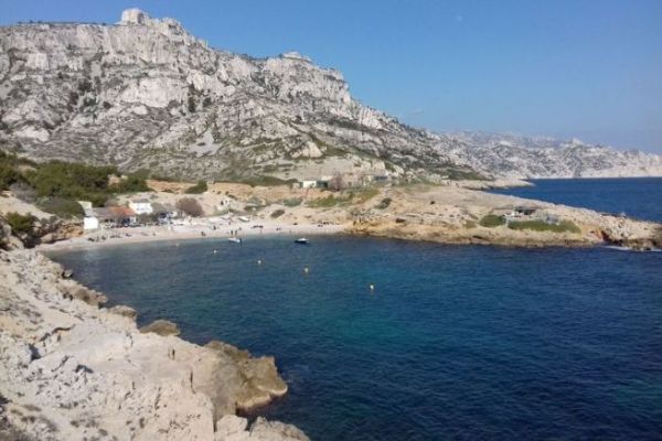Der Schutz der Posidonia zwischen Recht, Umwelt und Widerspr�chen