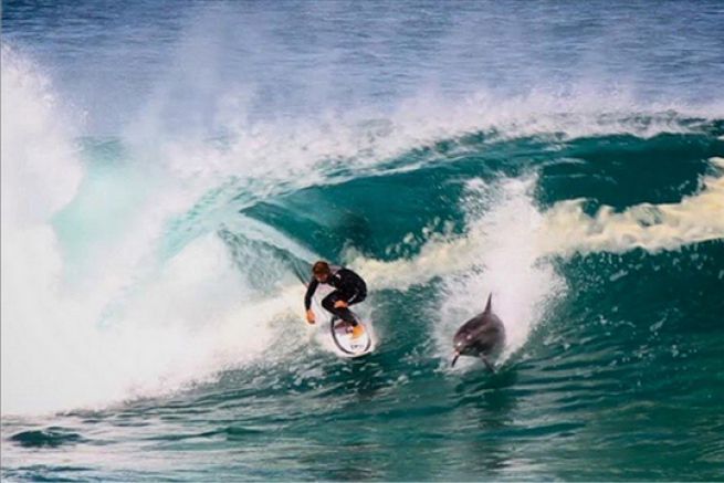 Soli Bailey surft mit einem Delphin