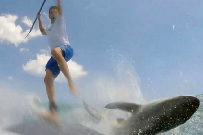 Maximo Trinidad trifft auf einen Hai