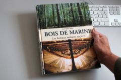 Bois de Marine, Schiffe werden im Wald geboren
