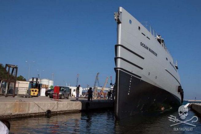 Sea Shepherd startet Patrouillenboot Ocean Warrior