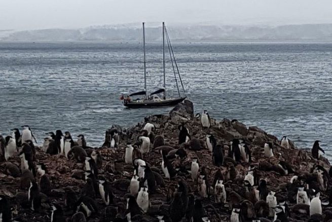 Abenteuer und Missgeschicke in der Antarktis: Wie kann man vermeiden, an Bord eines schlecht vorbereiteten Segelbootes zu gehen?