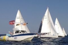 Tour des ports du Morbihan 2019