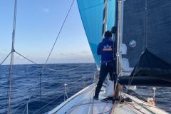 Capt'n Boat hilft bei der Suche nach professionellen Seeleuten, die angeheuert werden sollen