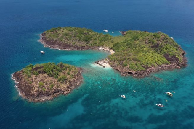 Nomad Citizen Sailing, Entdeckung des Cousteau-Meeresreservats auf Guadeloupe