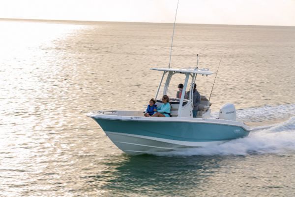 Boston Whaler 250 Dauntless, immer noch ein Mastab, aber zu einem hohen Preis