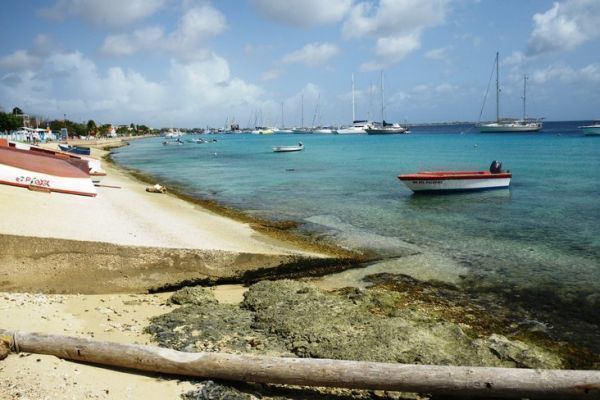 Exotischer Segeltrn nach Bonaire, einer der Inseln des ABC-Archipels