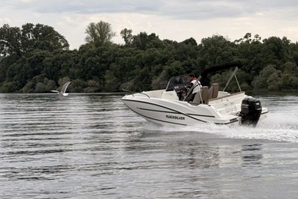 Quicksilver Activ 605 Open: ein vielseitiges Familien-Open mit guter Marktstellung