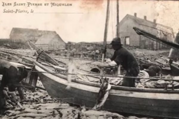 Doris in Saint-Pierre und Miquelon