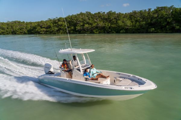 Die Boston Whaler 250 Dauntless ist schnell, macht Spa und ist vielseitig