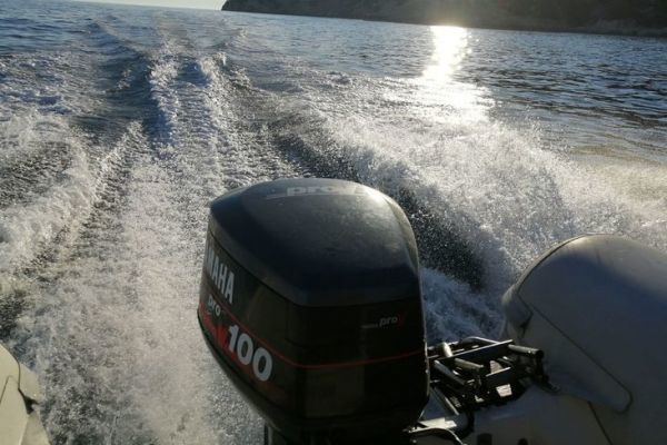 Eine Version des Taemup ab Januar 2027